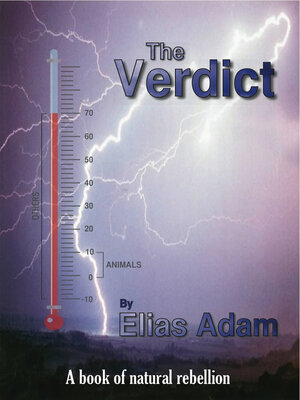 cover image of The Verdict